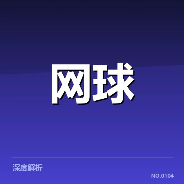 知名新星的代表性发展路径